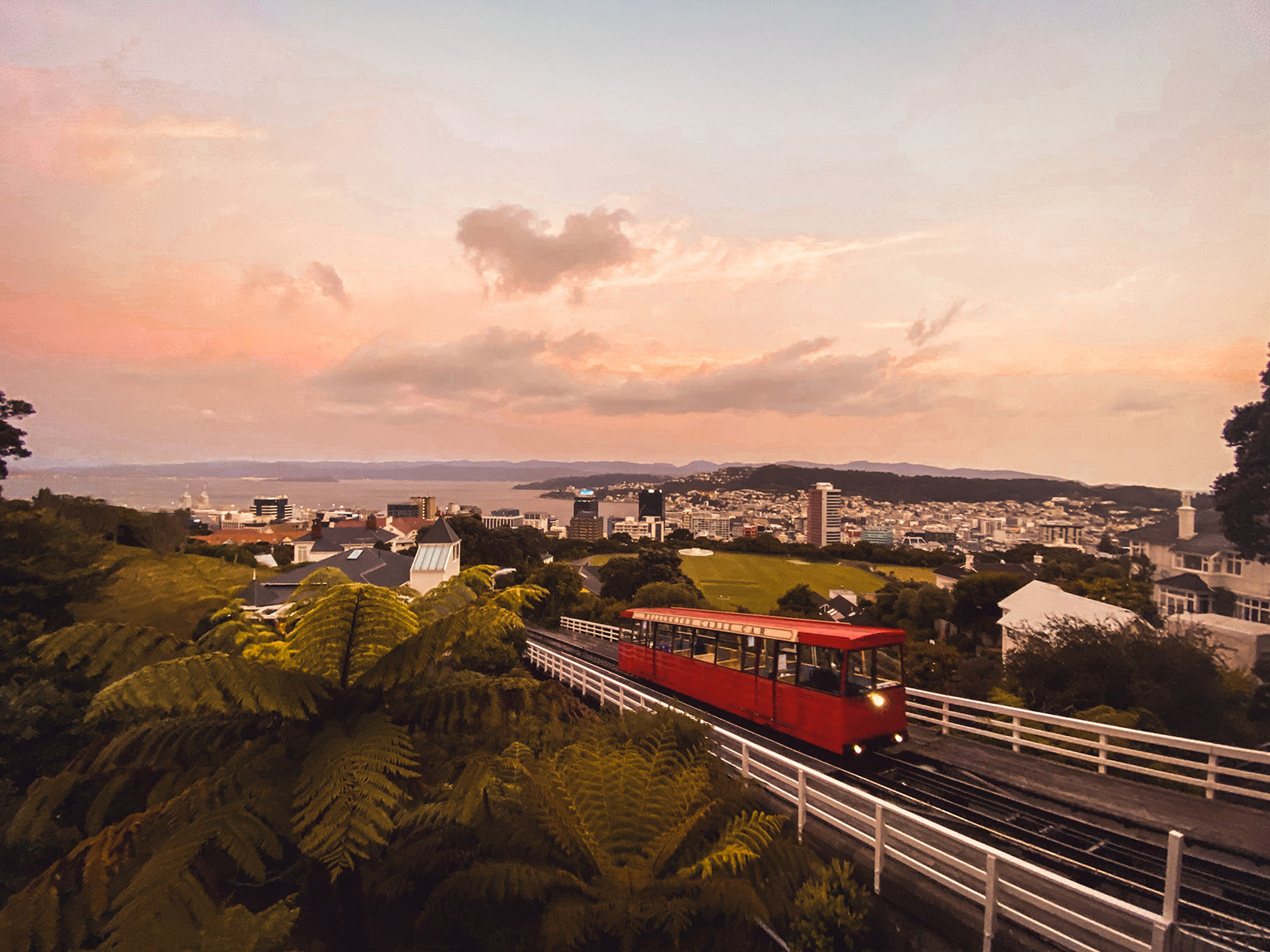a red tram car on the hill overlooking wellington, new zealand