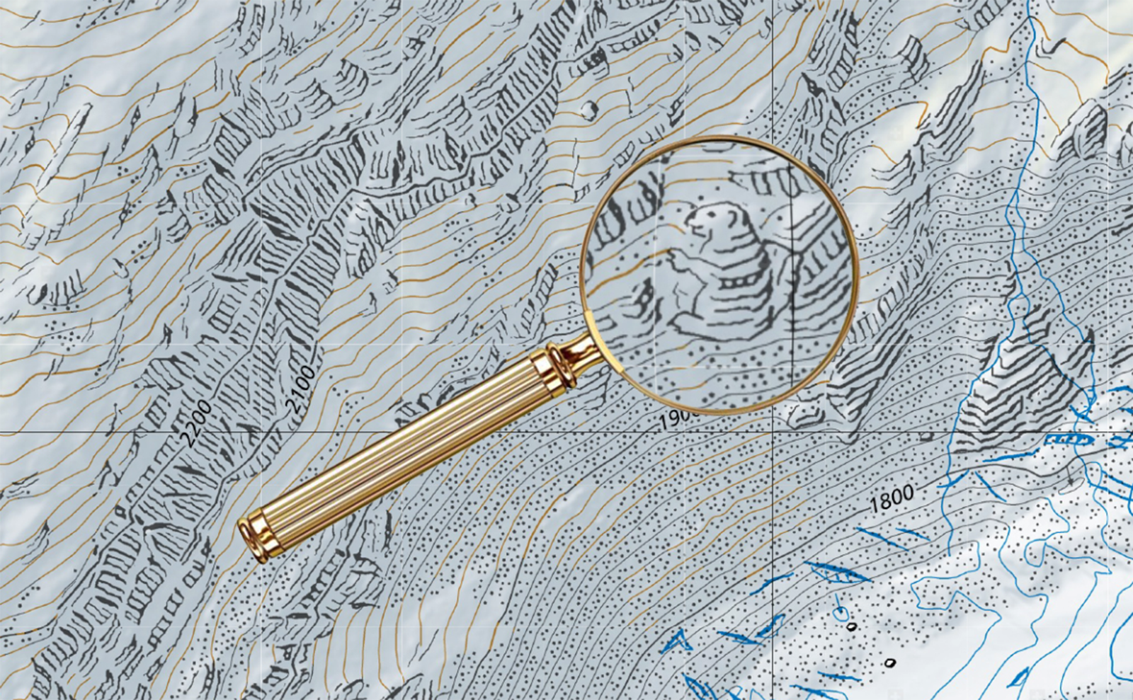 marmot drawing hidden in a map