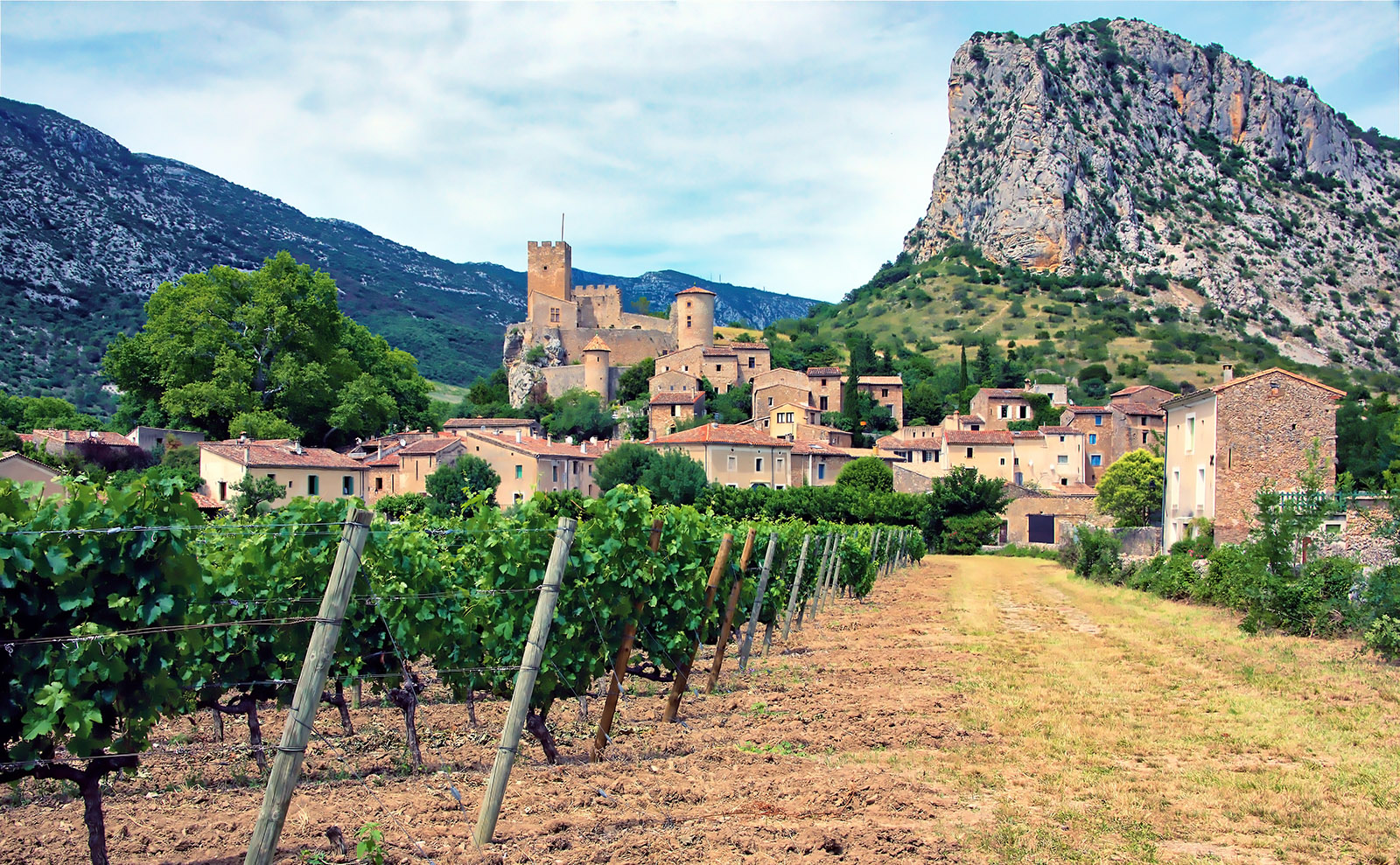 vineyards in the village of Saint Jean de Bueges in Languedoc, France