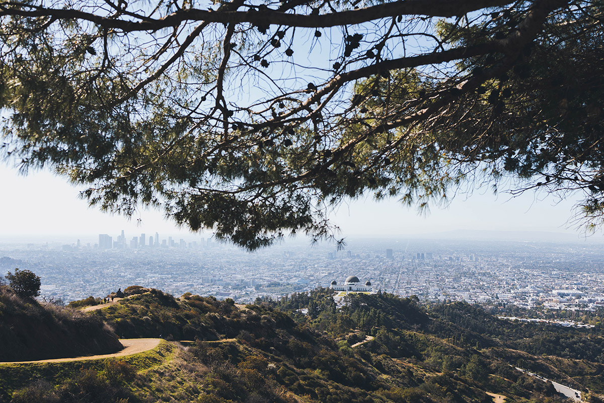 view of griffith park trees and observatory