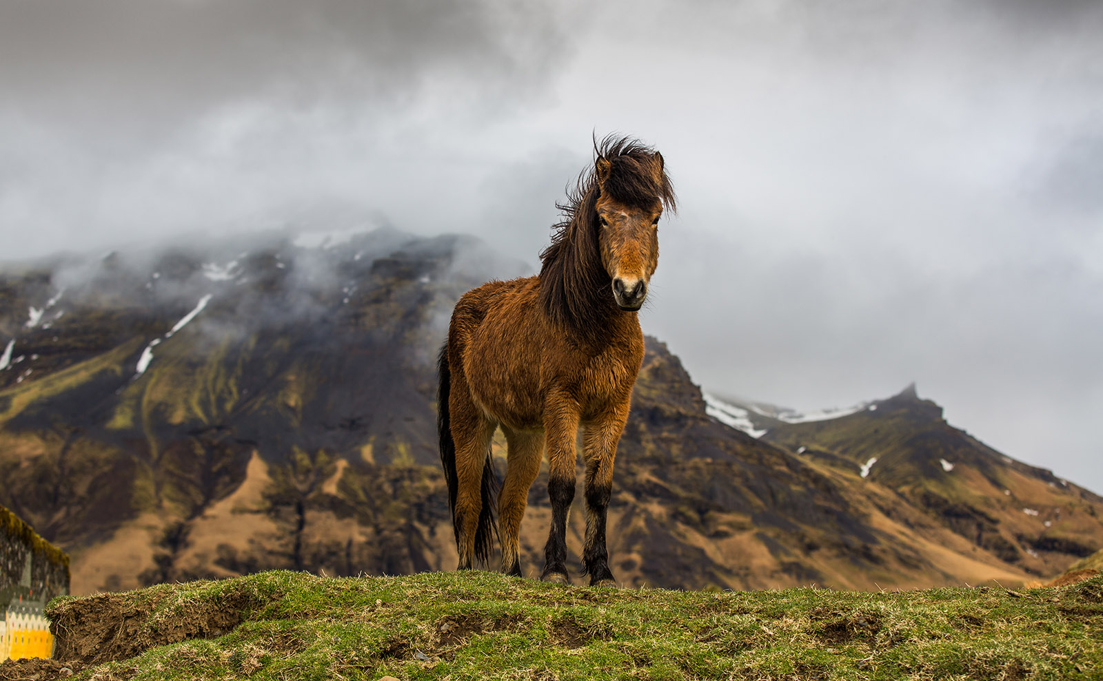 SSoP Podcast Episode 33 — Iceland: Warrior Poets, Emo Horses, and Maybe (Probably) Elves