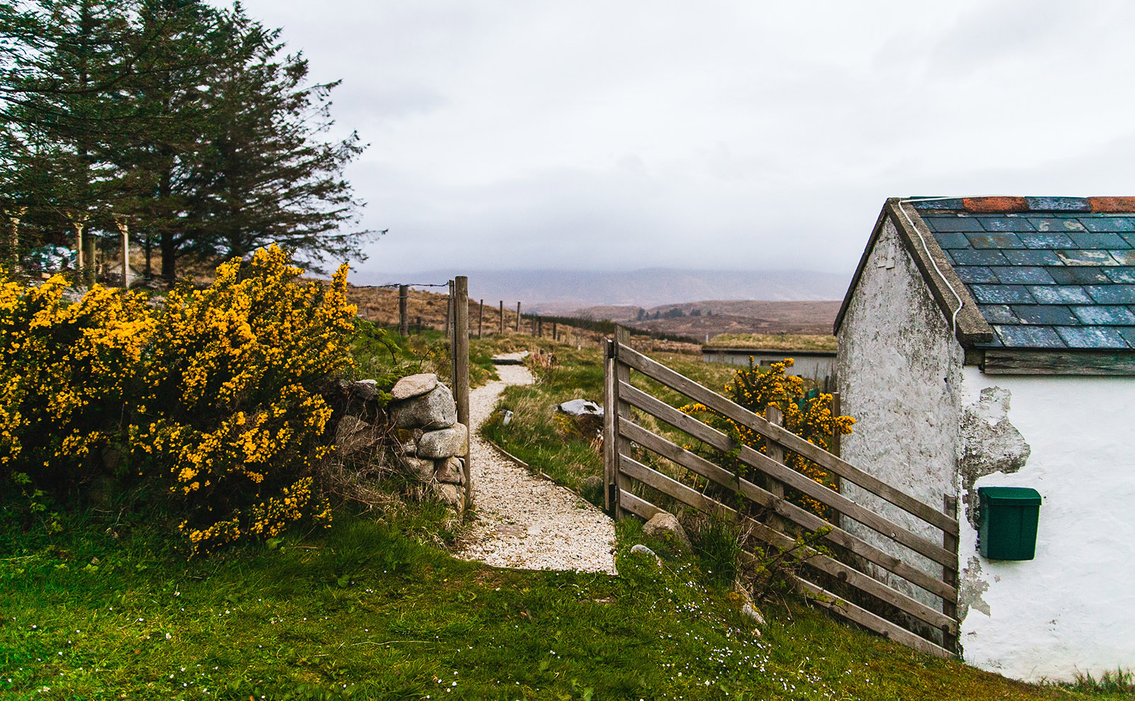 irish countryside with gate and flowers