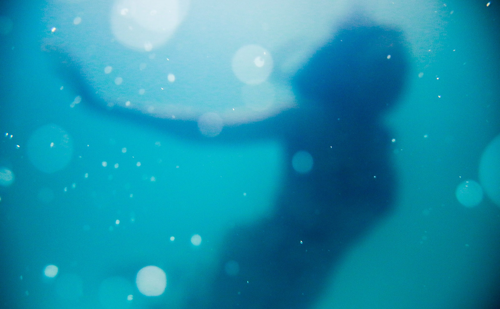 blue silhouette of a mermaid under water