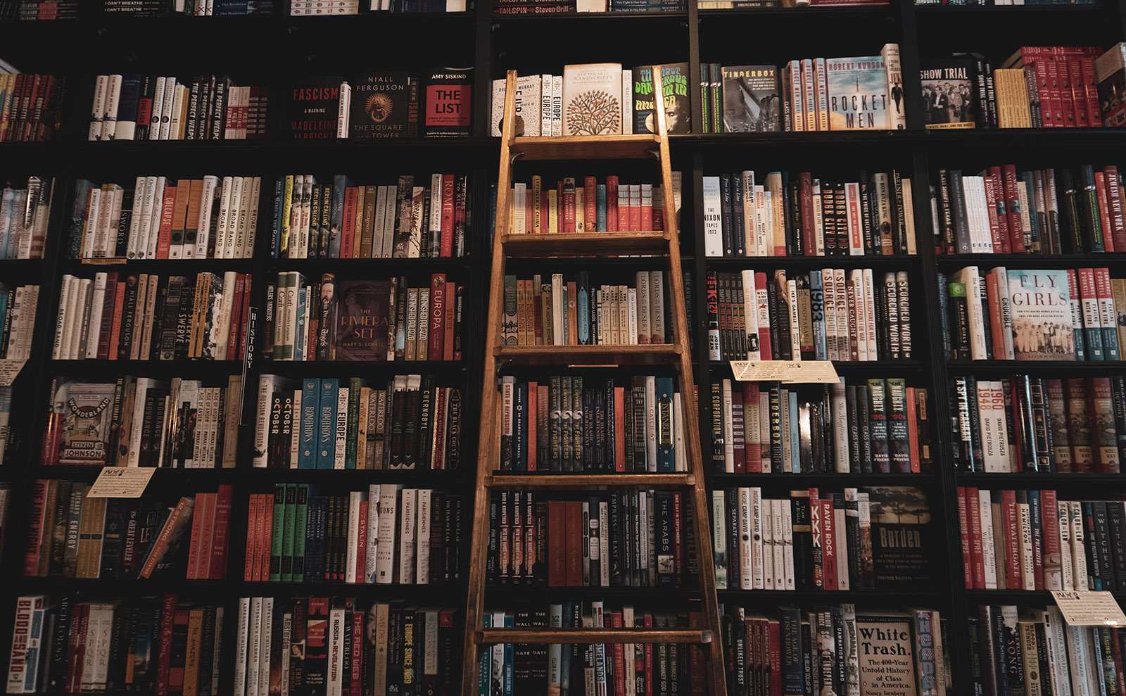 bookshelves filled with books