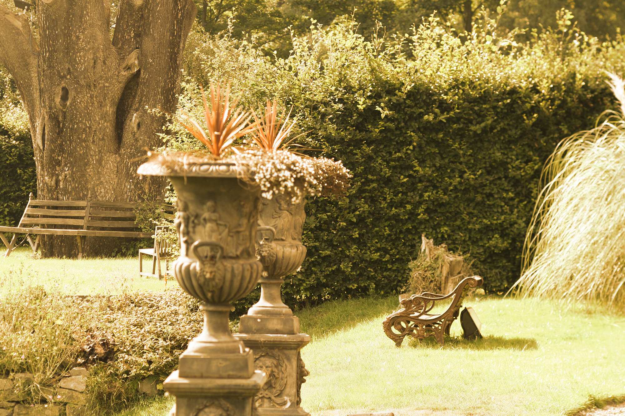 wooden benches and stone urns in a green garden