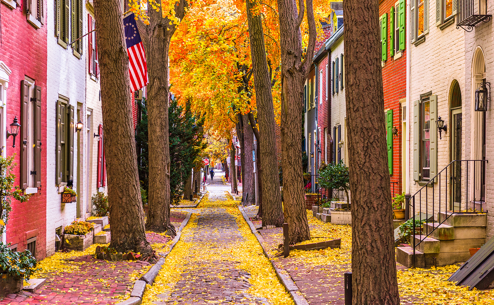 fall leaves in a narrow street in philadelphia