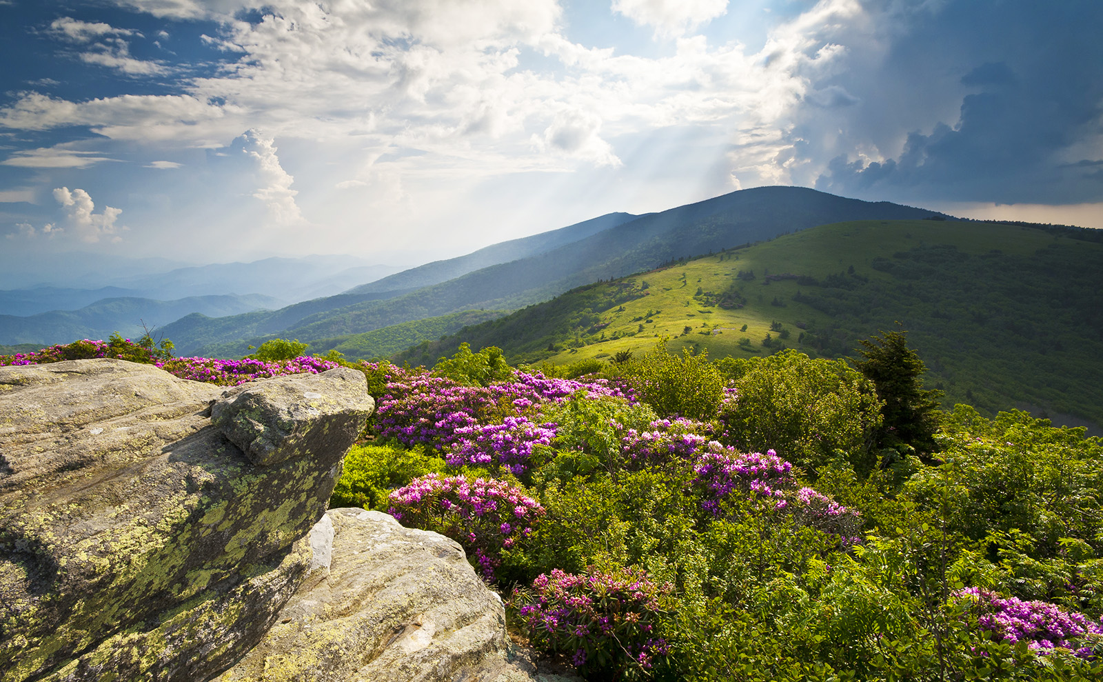 SSoP Podcast Episode 37 — Appalachia: Buttermilk Biscuits, Bluegrass, and a Big Blue Moon