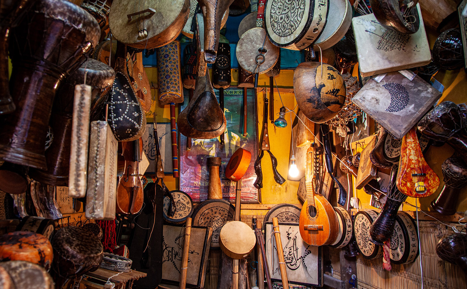 musicl instruments hanging on the wall of a shop