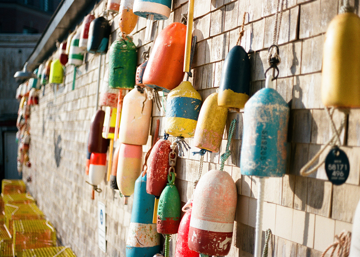 colorful buoys hanging on a brown wooden wall