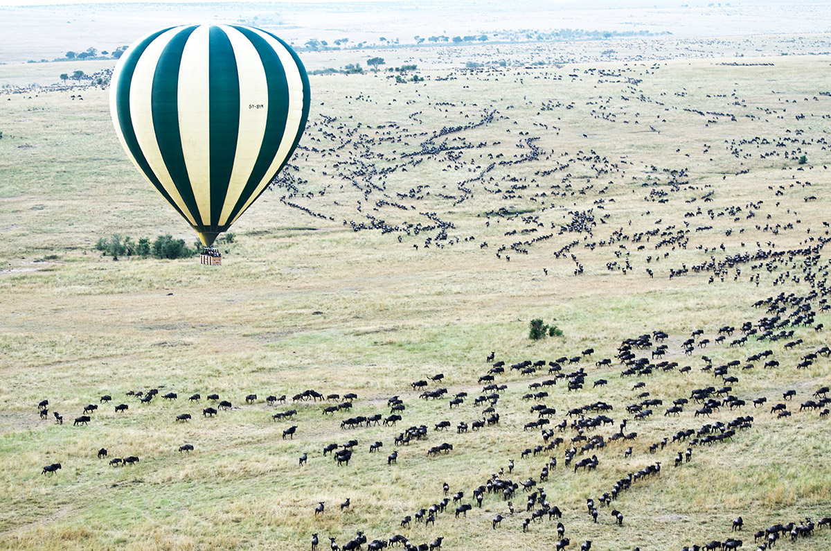 striped hot air balloon floating over wildebeest migration