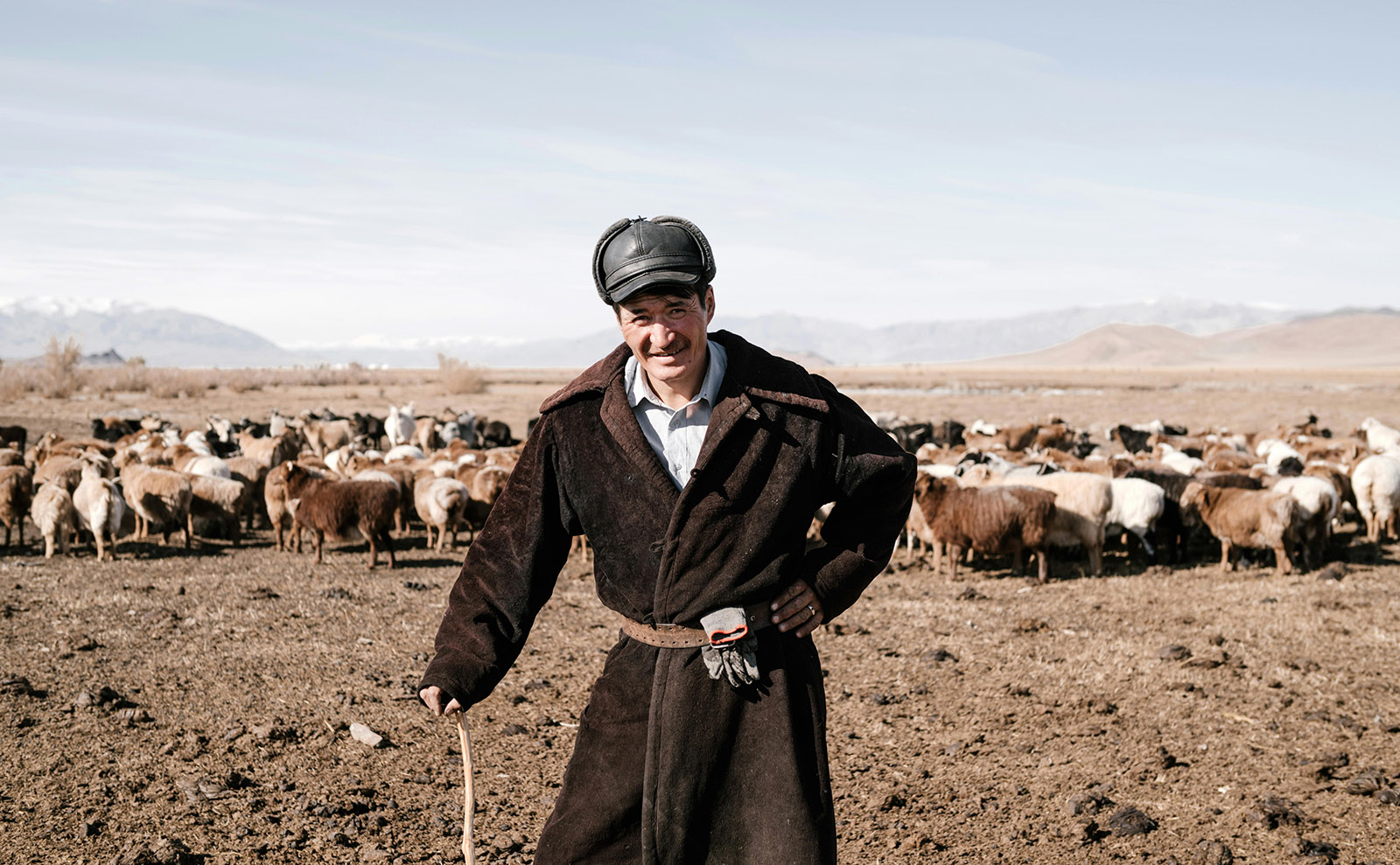 mongolian man wearing a leather hat and long brown coat surrounded by a flock of sheep on an open plain