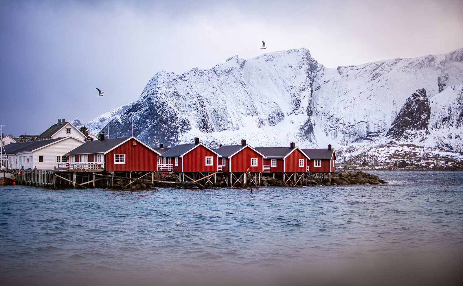 red wooden houses on a rocky shore by dark blue water