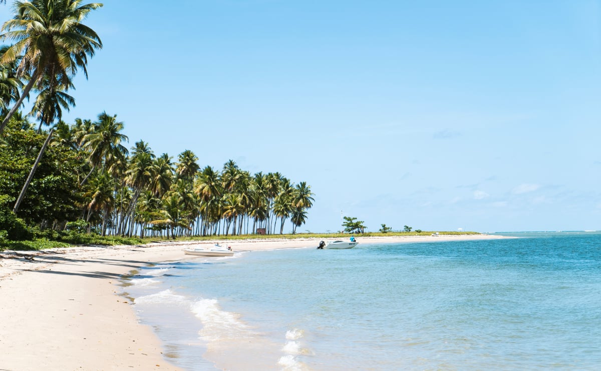 white sand beach and turquoise blue water under a sunny sky with palm trees on the beach