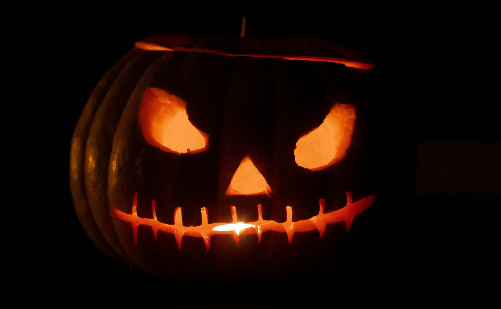 close up of a jack-o-lantern pumpkin in the dark, lit by a candle inside