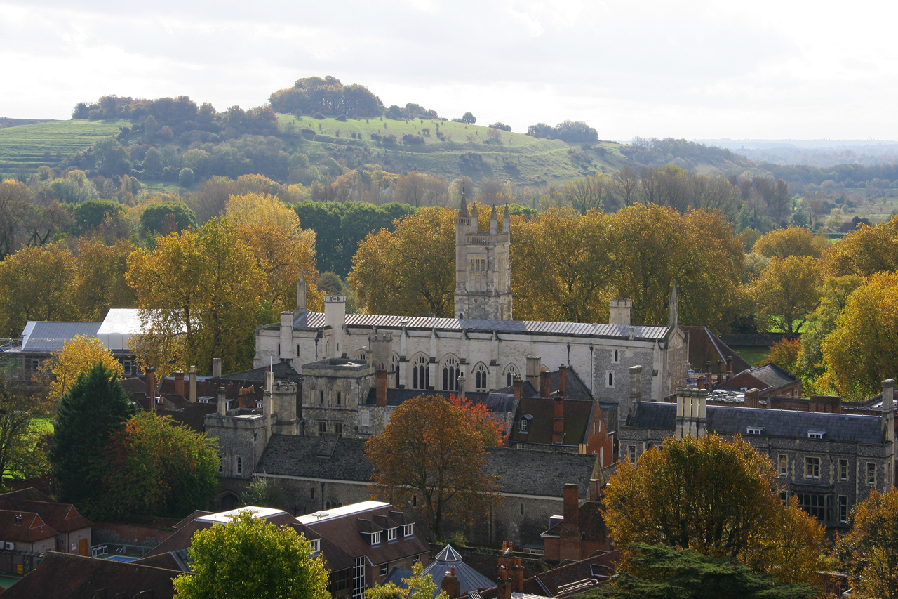 color photo of buildings surrounded by fall colored leaves