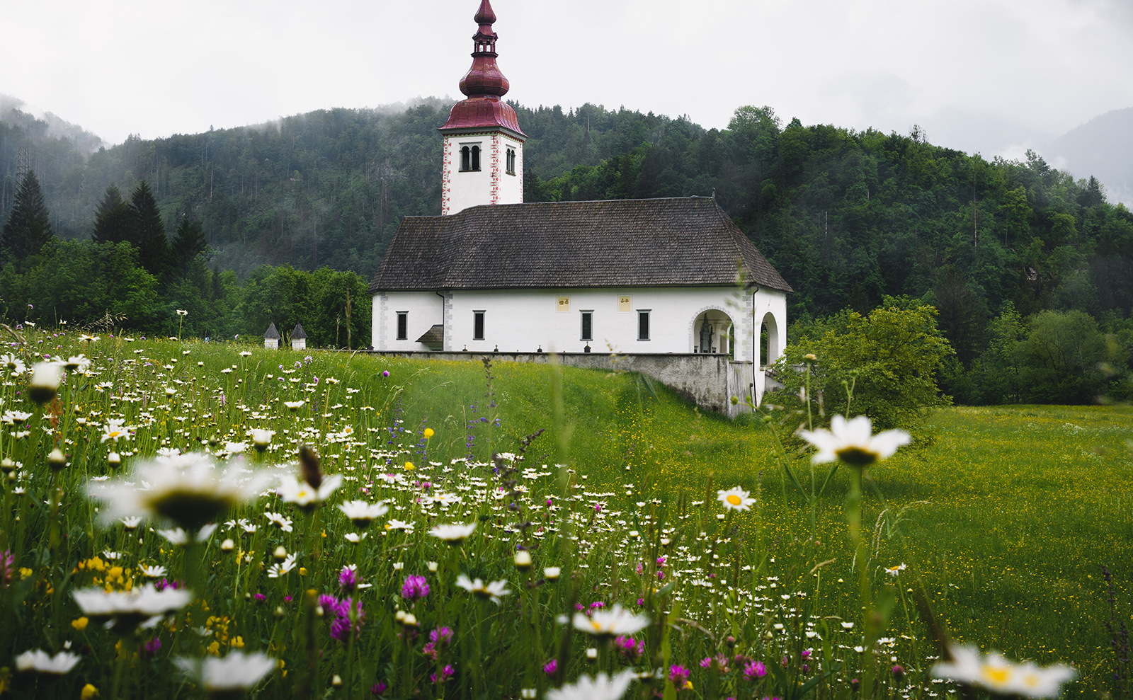 a Balkan church in a field of wildflowers