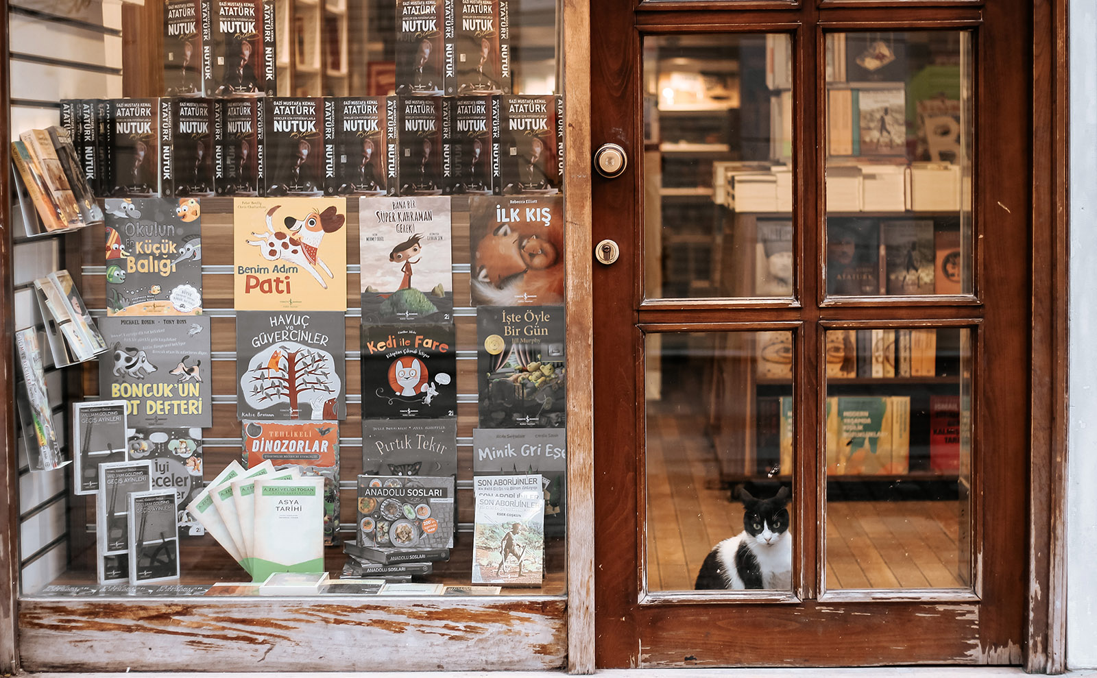 Wander Among the Bookshelves in the Poem 'The Bookshop' by Dick Allen