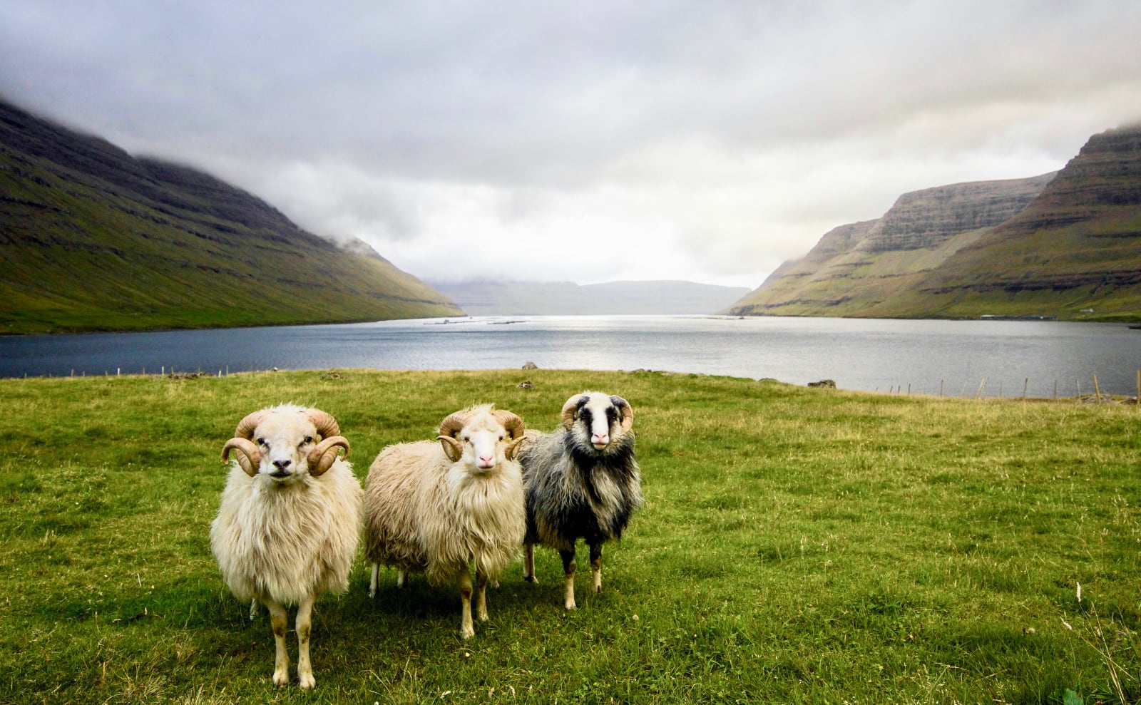 SSoP Podcast Episode 76 — Denmark: Gettin' Hygge With It