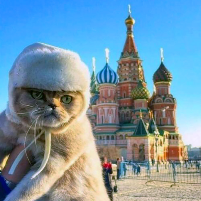 a cat wearing a hat in moscow's red square