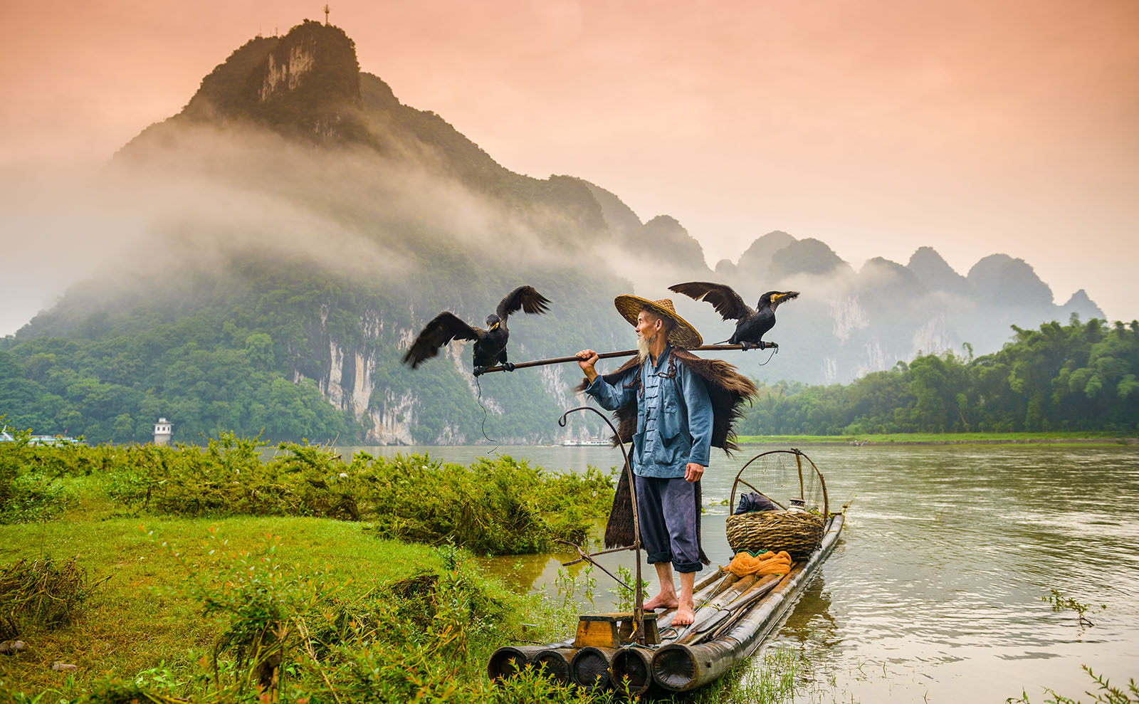 chinese man fishing with two cormorants