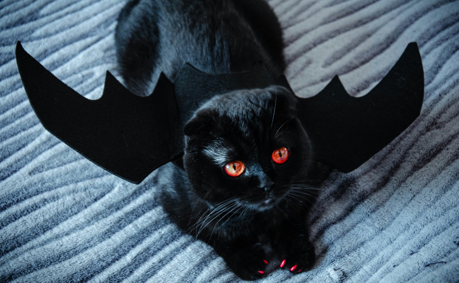Halloween Hijinks, Irish Fairies, Manderley Press, Salem Witches & More: Endnotes 30 October