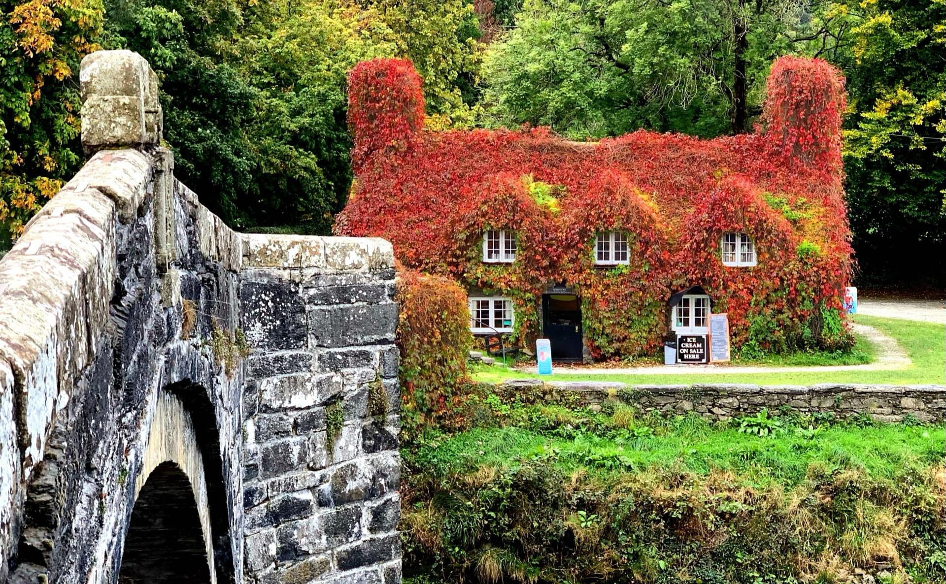 Historic Tearoom, Brothers Grimm, Mary Shelley, Gaslight, The Traitors & More: Endnotes 31 October