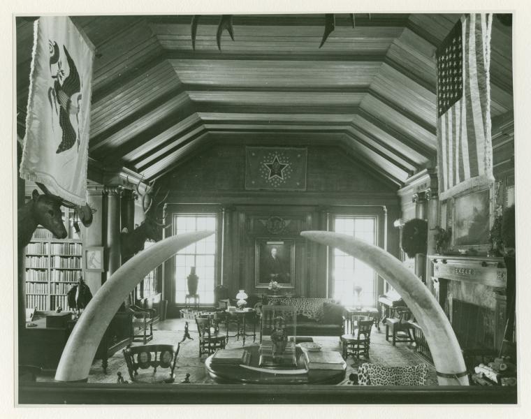 black and white photo of room filled with taxidermy