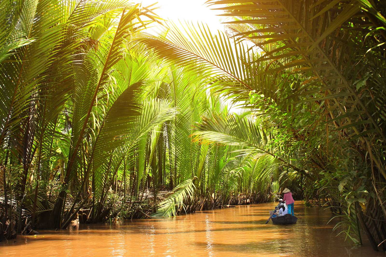 a person paddling a canoe on the mekong river in vietnam