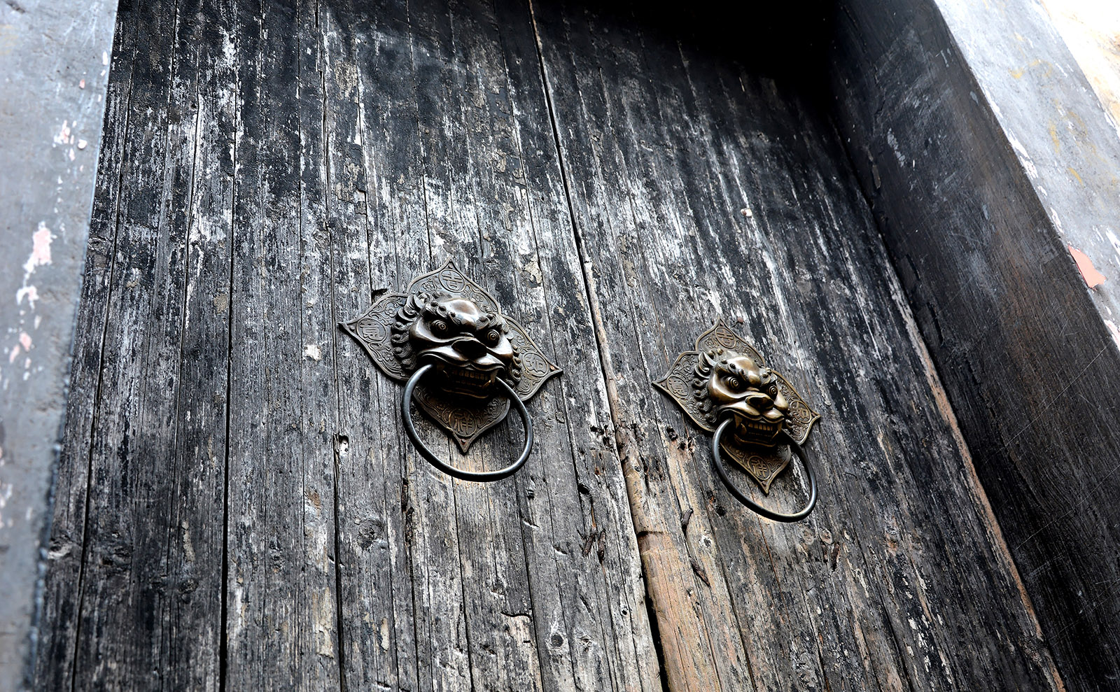 weathered wooden door with lion-head knockers