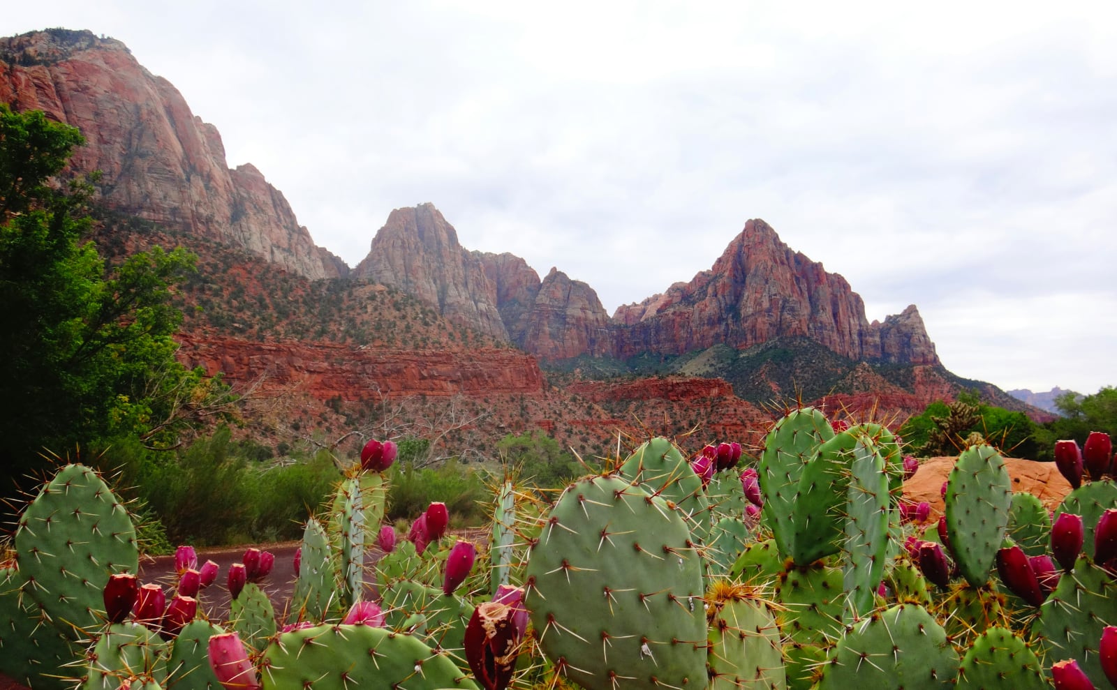 SSoP Podcast Episode 70 — National Parks: Go Outside and Touch Grass