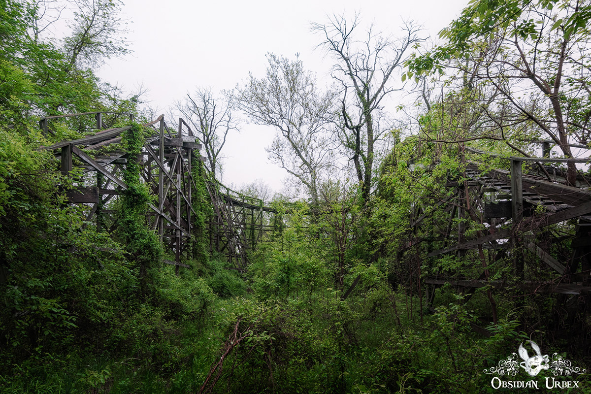 abandoned wooden rollercoaster track overgrown with plants