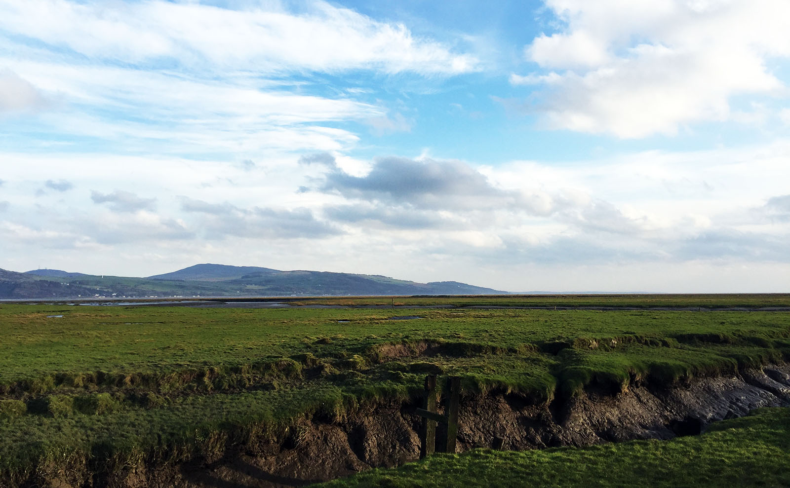 a grassy field and body of water