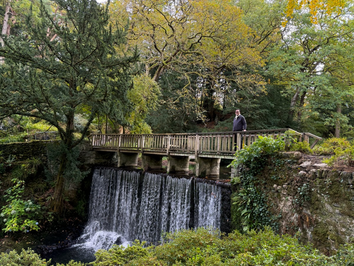 man and woman standing in front of a red tree
