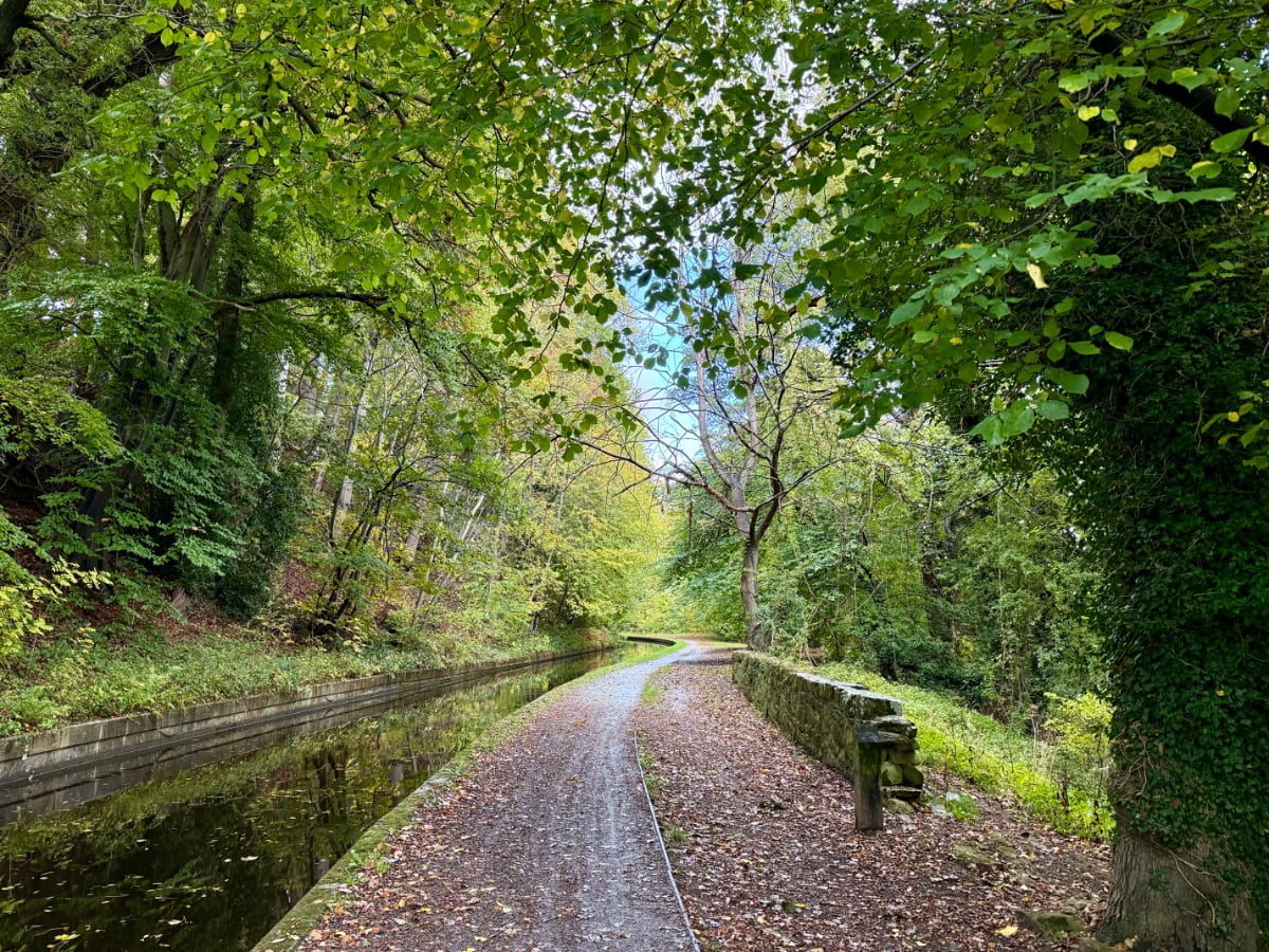 canal winding through the woods on a cloudy day