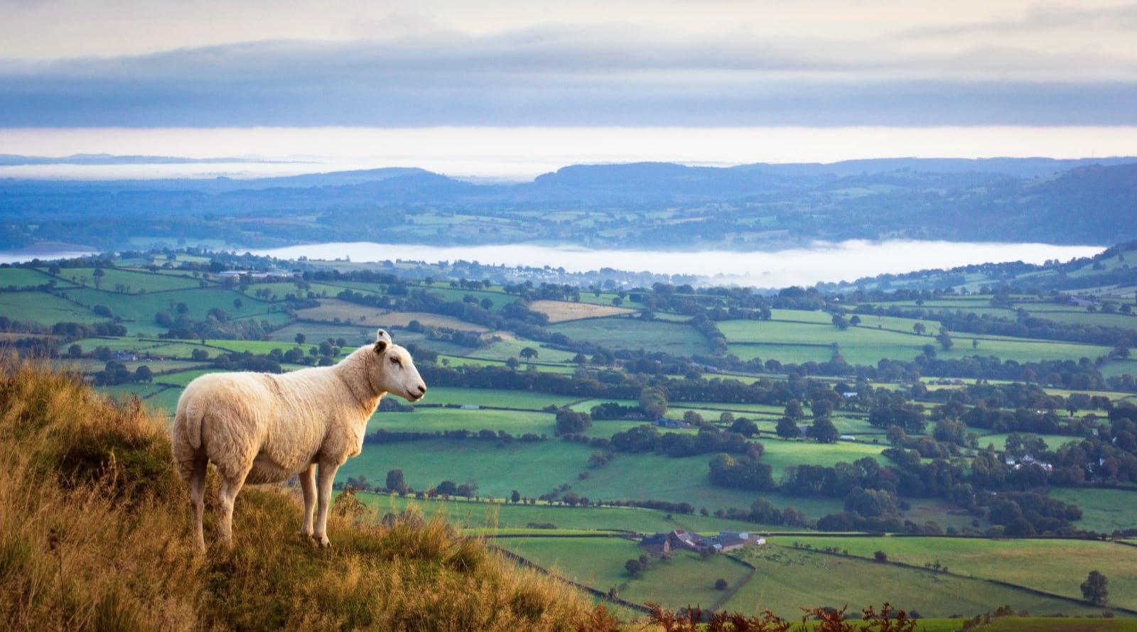 SSoP Podcast Episode 73 — Wales: Castle Ruins, Moody Skies, and Stories by the Fire